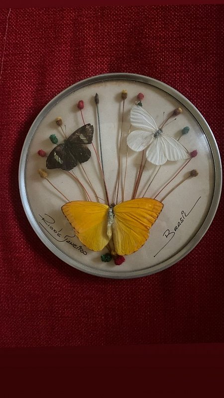 farfalle con vetro