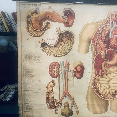 poster su tela paravia 