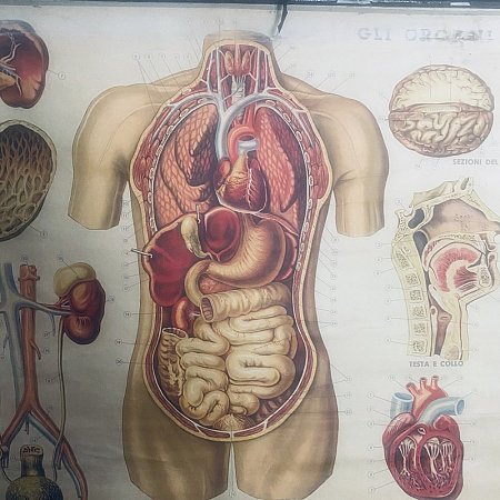 poster su tela paravia 