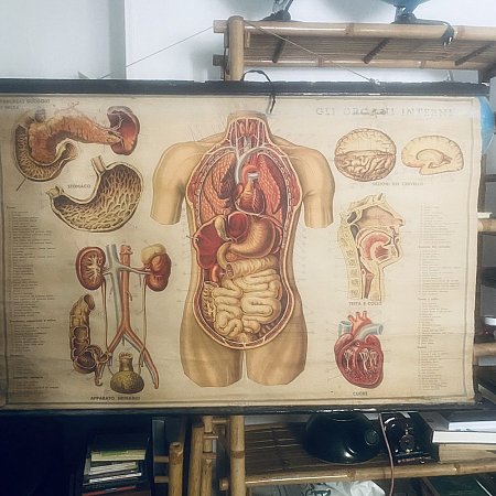 poster su tela paravia 